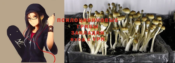 метадон Арсеньев