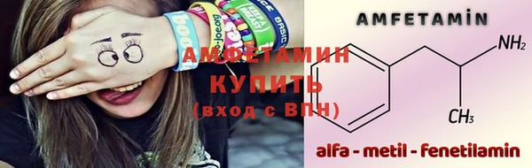 сатива Аркадак