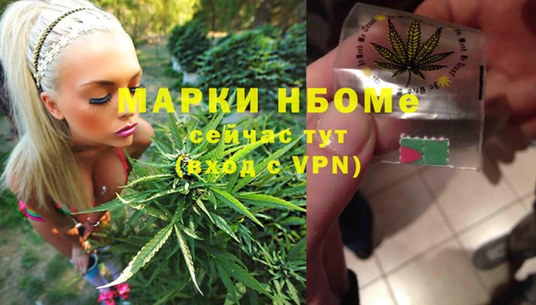 сатива Аркадак