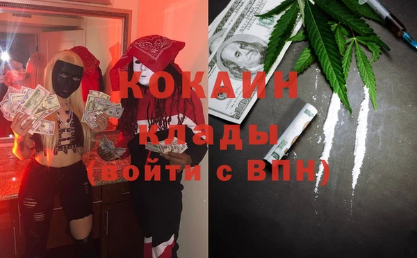 сатива Аркадак
