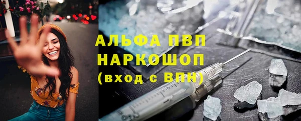 сатива Аркадак