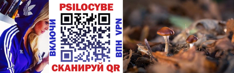 Псилоцибиновые грибы ЛСД  Купить где  Дмитров 